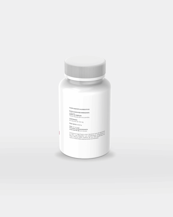 Productos suplementos - 2026-01-20T010831.492 Ginkgo Biloba
