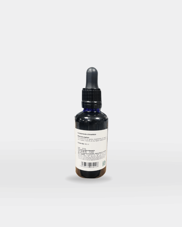 Productos suplementos - 2026-01-20T185928.739 Mens-D