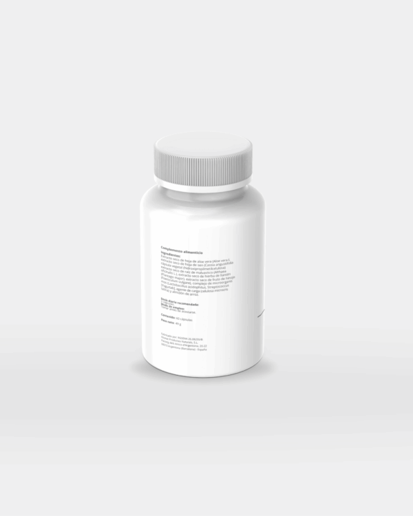 ALOE LX
