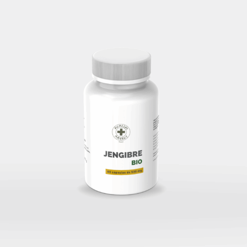 Jengibre BIO