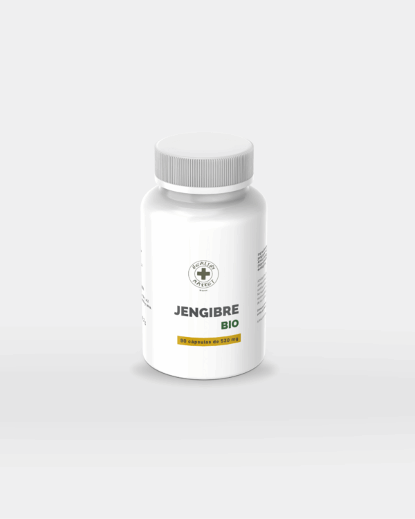 Productos suplementos (63) Jengibre BIO